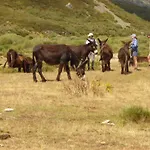Picos De Europa Potes