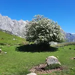 Picos De Europa Guest house Potes