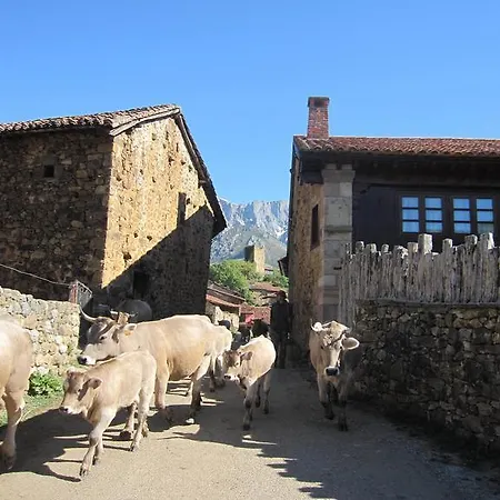 Picos De Europa 波特斯