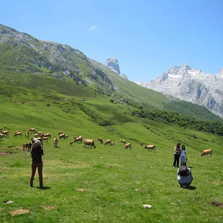 Picos De Europa Гостевой дом