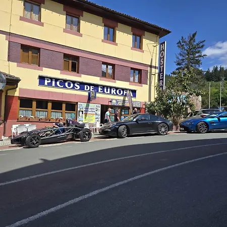 Гостевой дом Picos De Europa