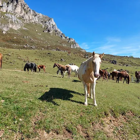 Guest house Picos De Europa Potes