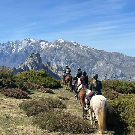 Guest house Picos De Europa 2*