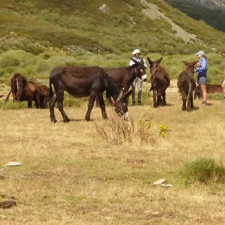 Picos De Europa Потес