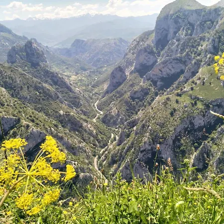 Picos De Europa