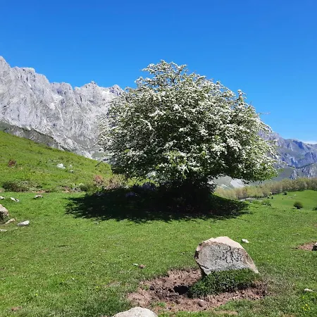 Picos De Europa Affittacamere Potes