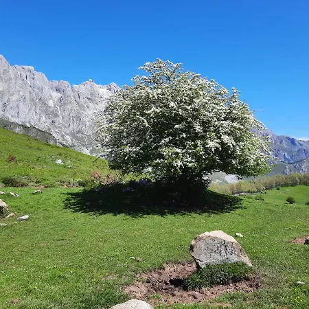 Picos De Europa Гостевой дом Потес