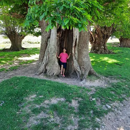 Гостевой дом Picos De Europa 2*