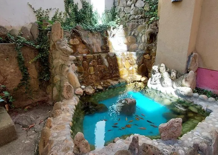 Guest house Picos De Europa 2*