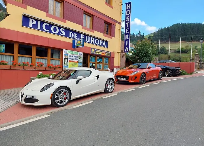 Picos De Europa ポテス