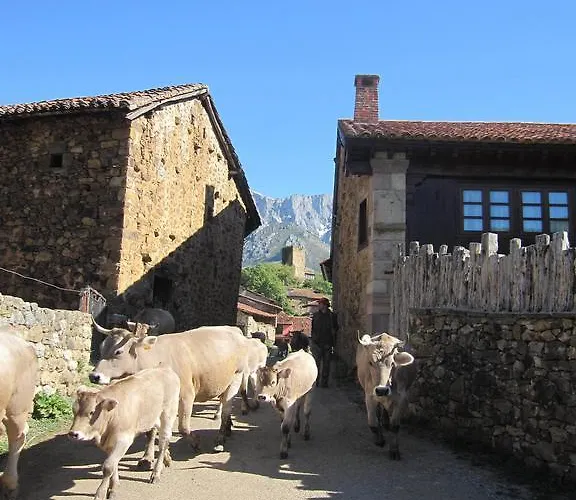 Picos De Europa Potes