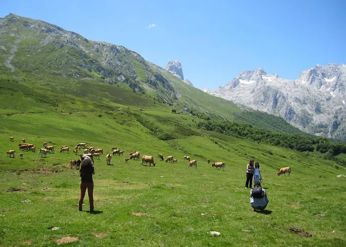 Picos De Europa Гостевой дом