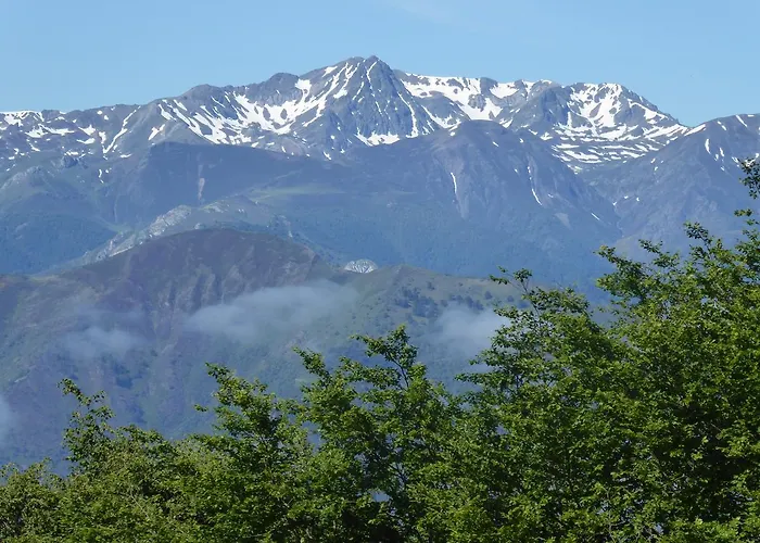 Picos De Europa ポテス
