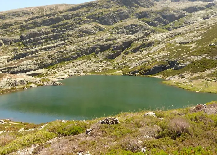 ゲストハウス Picos De Europa 2*