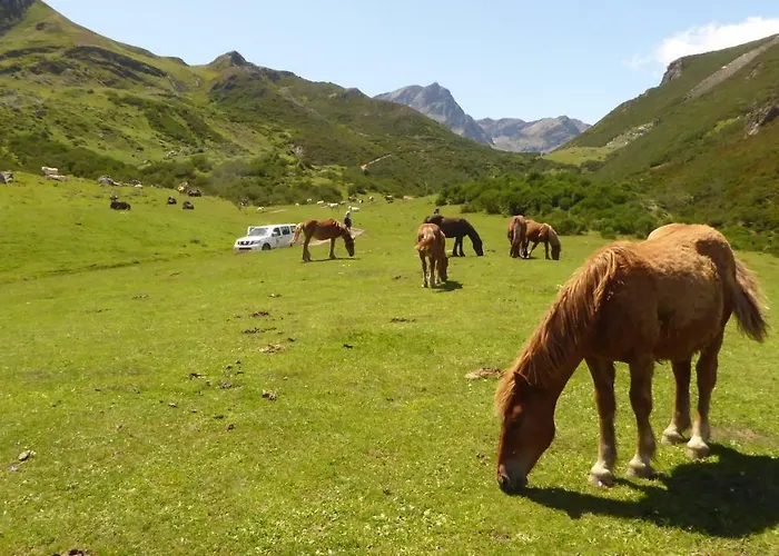 Picos De Europa 招待所 波特斯
