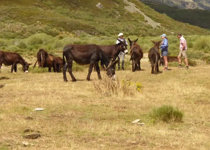 Picos De Europa 波特斯