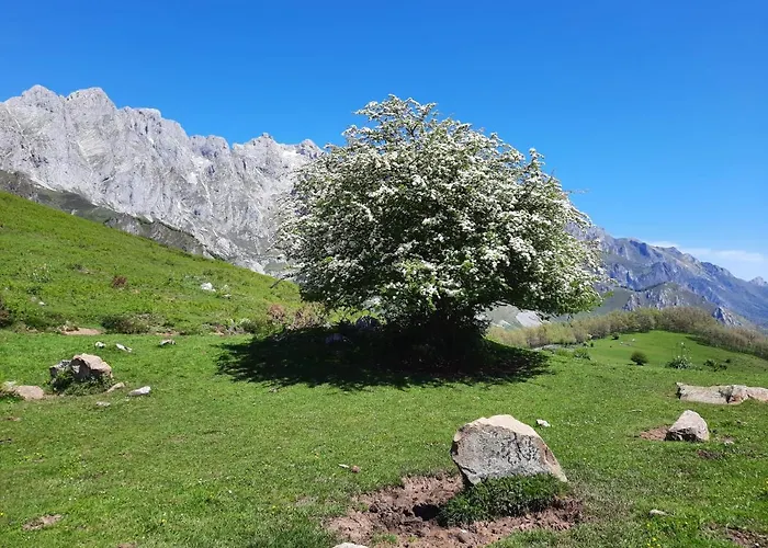 Picos De Europa Pensionat Potes