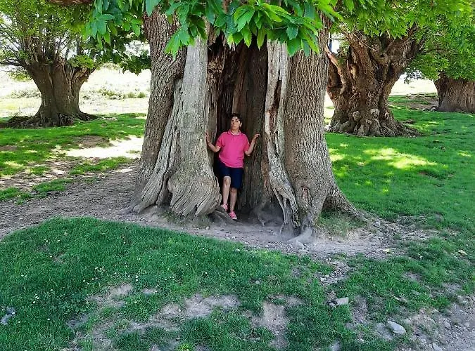 Гостевой дом Picos De Europa 2*